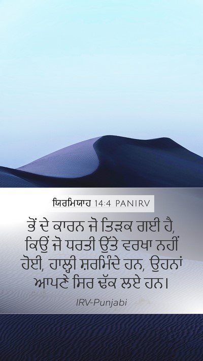 ਯਿਰਮਿਯਾਹ 14:4 PANIRV Bible Verse Image