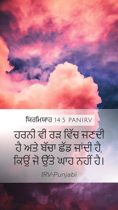 ਯਿਰਮਿਯਾਹ 14:5 PANIRV Bible Verse Image
