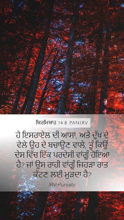 ਯਿਰਮਿਯਾਹ 14:8 PANIRV Bible Verse Image