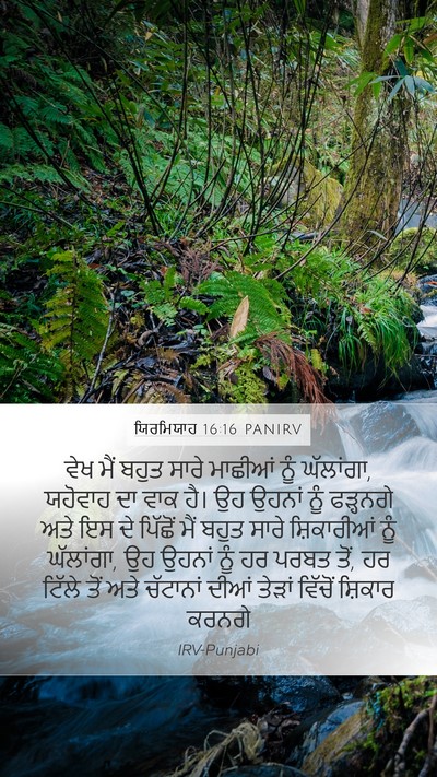 ਯਿਰਮਿਯਾਹ 16:16 PANIRV Bible Verse Image