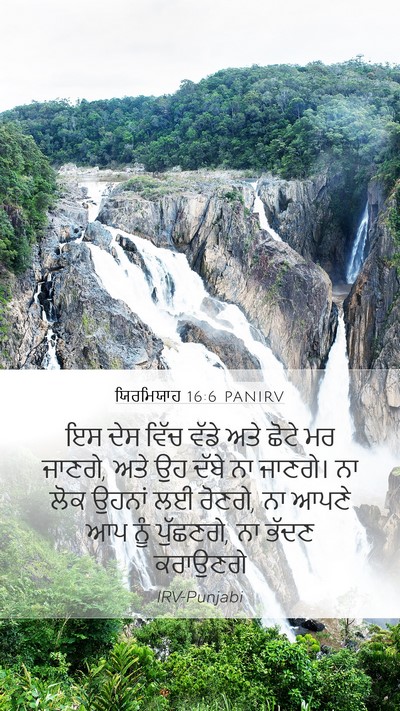 ਯਿਰਮਿਯਾਹ 16:6 PANIRV Bible Verse Image