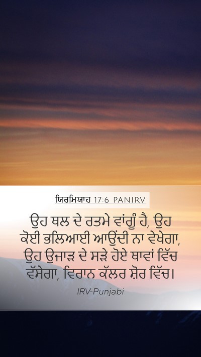 ਯਿਰਮਿਯਾਹ 17:6 PANIRV Bible Verse Image