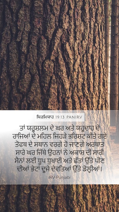 ਯਿਰਮਿਯਾਹ 19:13 PANIRV Bible Verse Image