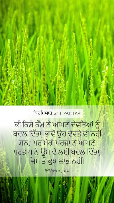 ਯਿਰਮਿਯਾਹ 2:11 PANIRV Bible Verse Image