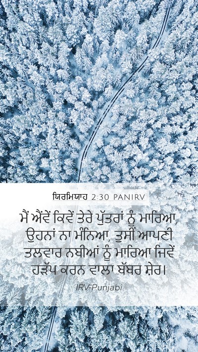 ਯਿਰਮਿਯਾਹ 2:30 PANIRV Bible Verse Image