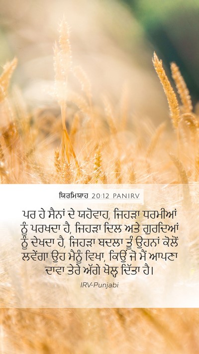 ਯਿਰਮਿਯਾਹ 20:12 PANIRV Bible Verse Image