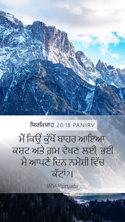 ਯਿਰਮਿਯਾਹ 20:18 PANIRV Bible Verse Image