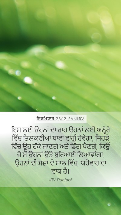 ਯਿਰਮਿਯਾਹ 23:12 PANIRV Bible Verse Image