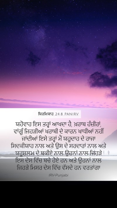 ਯਿਰਮਿਯਾਹ 24:8 PANIRV Bible Verse Image