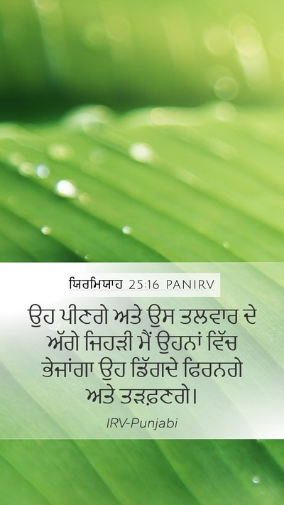 ਯਿਰਮਿਯਾਹ 25:16 PANIRV Bible Verse Image
