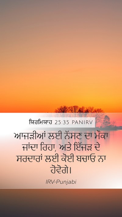 ਯਿਰਮਿਯਾਹ 25:35 PANIRV Mobile Phone Wallpaper - ਆਜੜੀਆਂ ਲਈ ਨੱਸਣ ਦਾ - Mobile Bible Verse Wallpaper