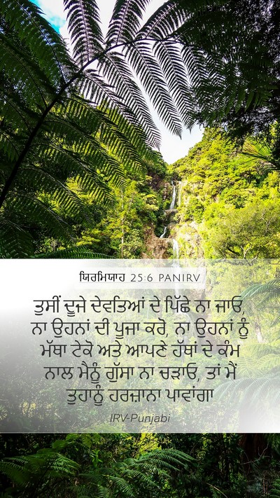 ਯਿਰਮਿਯਾਹ 25:6 PANIRV Bible Verse Image