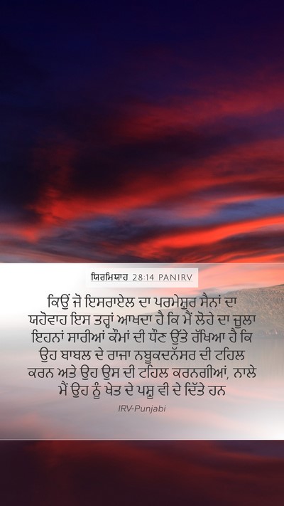 ਯਿਰਮਿਯਾਹ 28:14 PANIRV Bible Verse Image