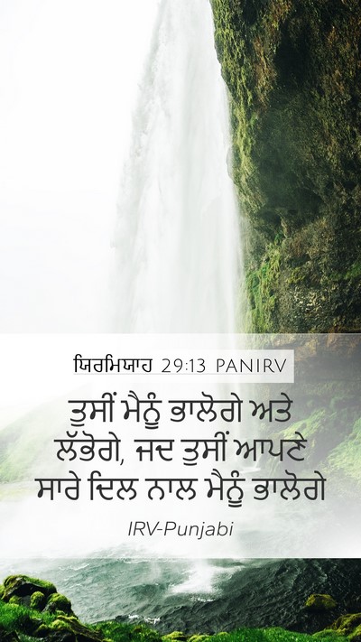 ਯਿਰਮਿਯਾਹ 29:13 PANIRV Bible Verse Image