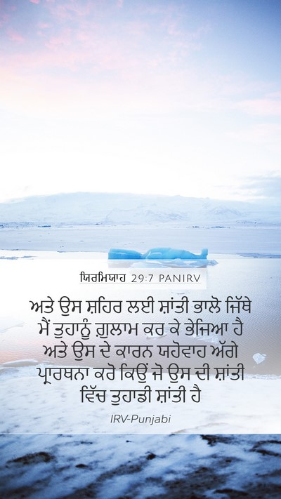 ਯਿਰਮਿਯਾਹ 29:7 PANIRV Bible Verse Image