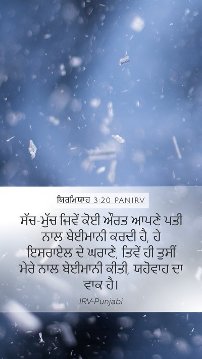ਯਿਰਮਿਯਾਹ 3:20 PANIRV Bible Verse Image