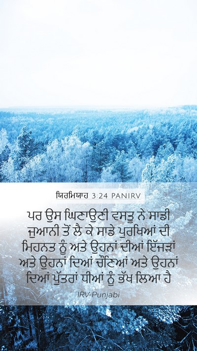 ਯਿਰਮਿਯਾਹ 3:24 PANIRV Bible Verse Image