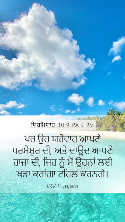 ਯਿਰਮਿਯਾਹ 30:9 PANIRV Bible Verse Image