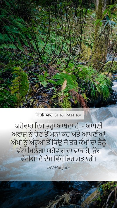 ਯਿਰਮਿਯਾਹ 31:16 PANIRV Bible Verse Image