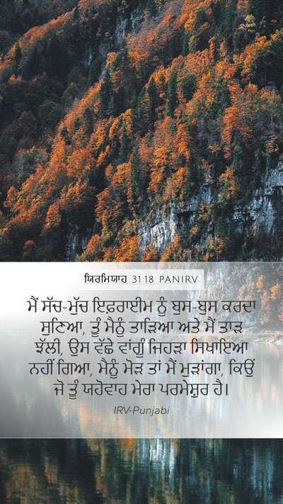 ਯਿਰਮਿਯਾਹ 31:18 PANIRV Bible Verse Image