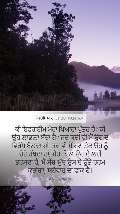 ਯਿਰਮਿਯਾਹ 31:20 PANIRV Bible Verse Image