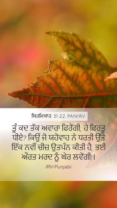 ਯਿਰਮਿਯਾਹ 31:22 PANIRV Bible Verse Image