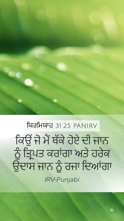 ਯਿਰਮਿਯਾਹ 31:25 PANIRV Bible Verse Image