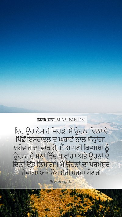 ਯਿਰਮਿਯਾਹ 31:33 PANIRV Bible Verse Image