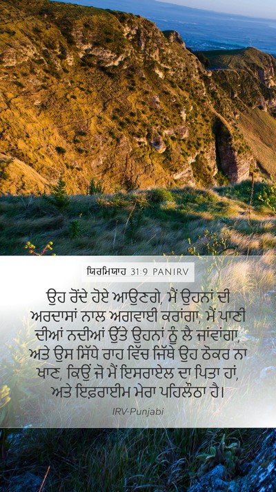 ਯਿਰਮਿਯਾਹ 31:9 PANIRV Bible Verse Image