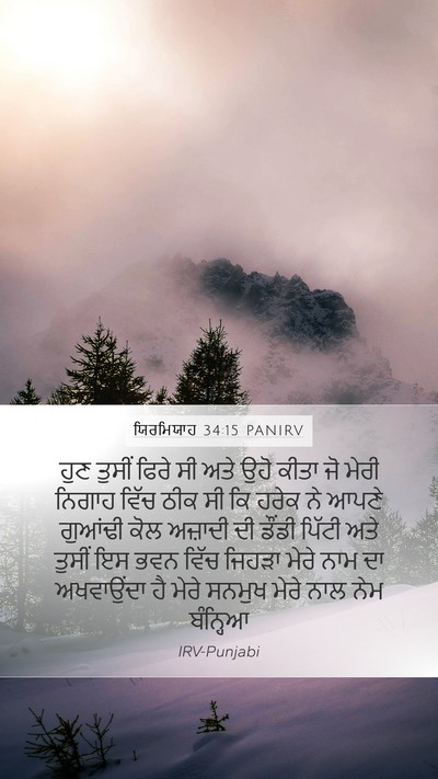 ਯਿਰਮਿਯਾਹ 34:15 PANIRV Bible Verse Image