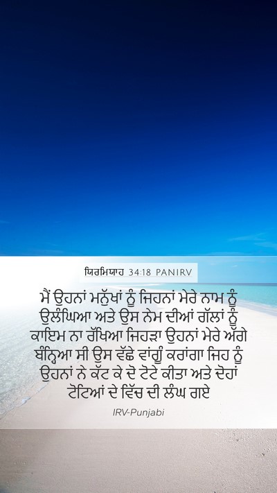 ਯਿਰਮਿਯਾਹ 34:18 PANIRV Bible Verse Image