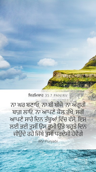 ਯਿਰਮਿਯਾਹ 35:7 PANIRV Bible Verse Image