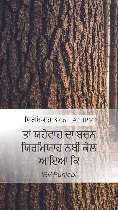 ਯਿਰਮਿਯਾਹ 37:6 PANIRV Bible Verse Image