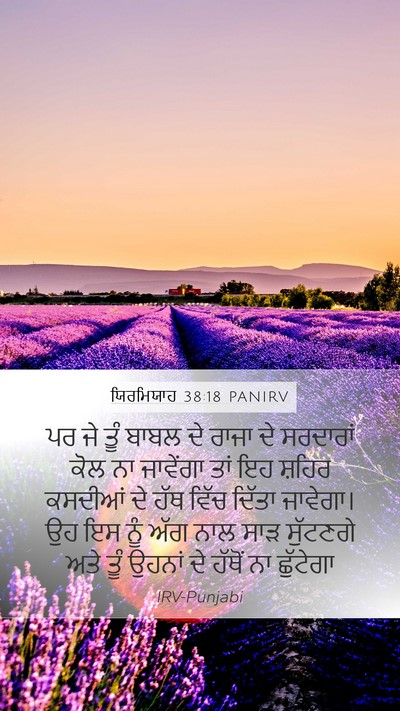ਯਿਰਮਿਯਾਹ 38:18 PANIRV Bible Verse Image