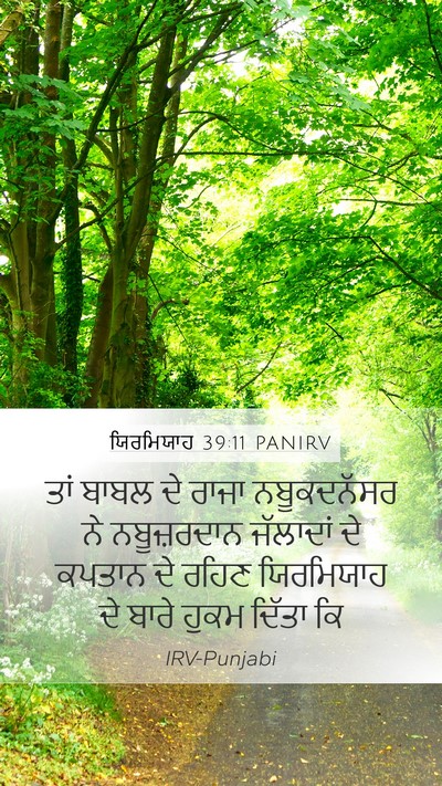 ਯਿਰਮਿਯਾਹ 39:11 PANIRV Bible Verse Image