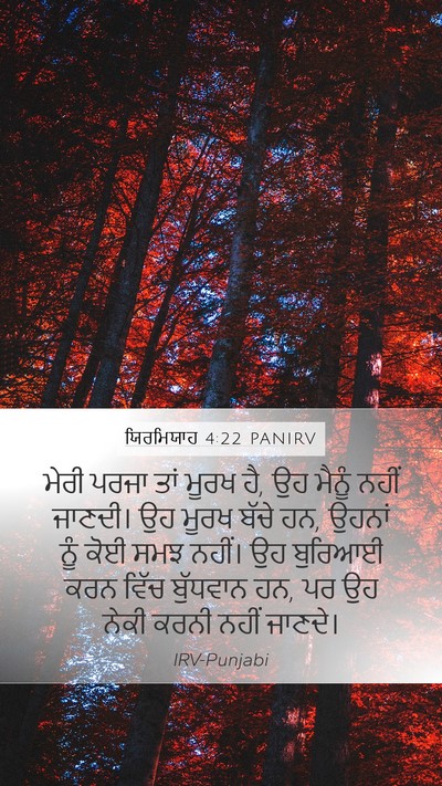 ਯਿਰਮਿਯਾਹ 4:22 PANIRV Bible Verse Image