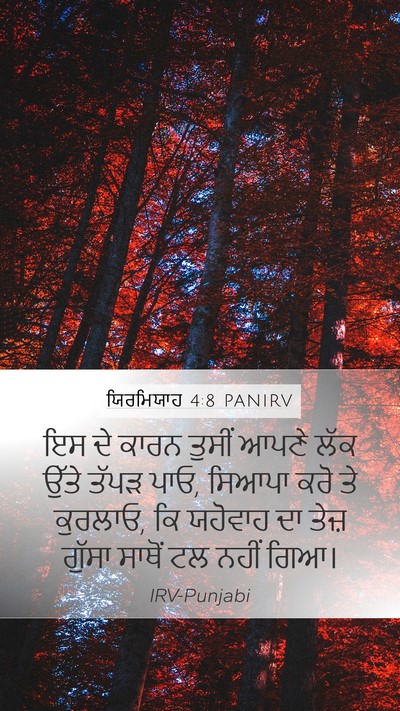 ਯਿਰਮਿਯਾਹ 4:8 PANIRV Bible Verse Image