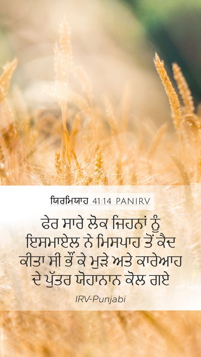 ਯਿਰਮਿਯਾਹ 41:14 PANIRV Bible Verse Image