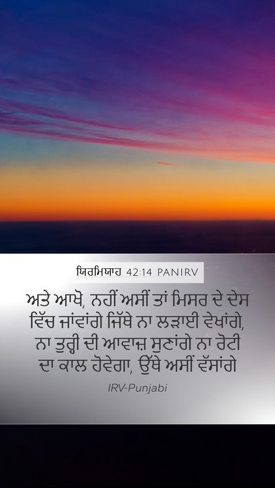 ਯਿਰਮਿਯਾਹ 42:14 PANIRV Bible Verse Image