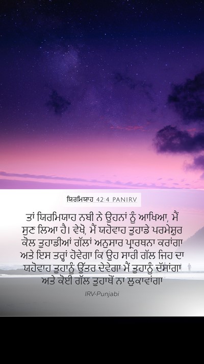 ਯਿਰਮਿਯਾਹ 42:4 PANIRV Bible Verse Image