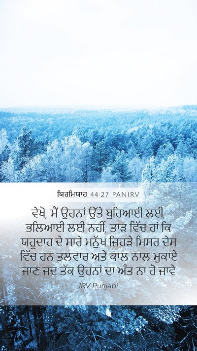 ਯਿਰਮਿਯਾਹ 44:27 PANIRV Bible Verse Image