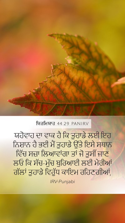 ਯਿਰਮਿਯਾਹ 44:29 PANIRV Mobile Phone Wallpaper - ਯਹੋਵਾਹ ਦਾ ਵਾਕ ਹੈ ਕਿ - Mobile Bible Verse Wallpaper