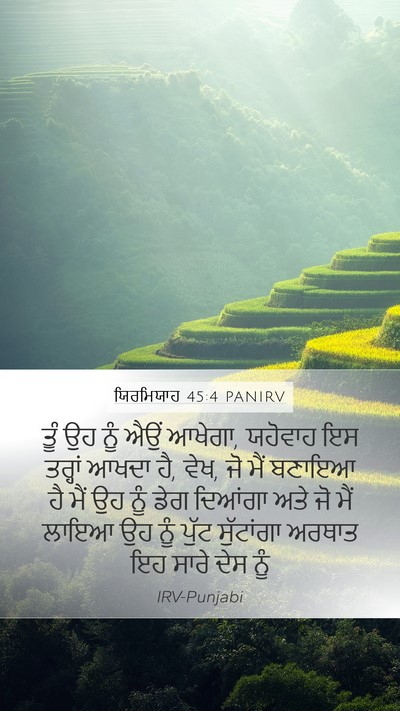 ਯਿਰਮਿਯਾਹ 45:4 PANIRV Bible Verse Image