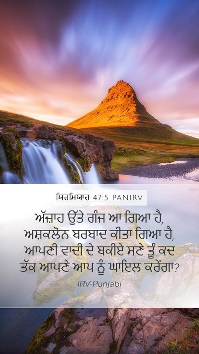 ਯਿਰਮਿਯਾਹ 47:5 PANIRV Bible Verse Image