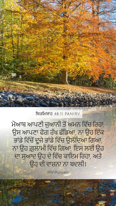 ਯਿਰਮਿਯਾਹ 48:11 PANIRV Bible Verse Image