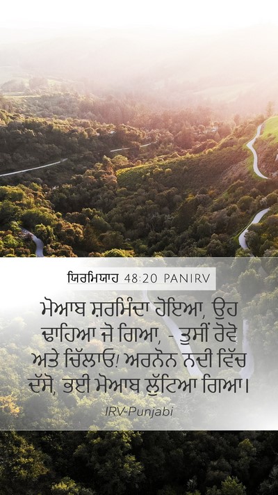 ਯਿਰਮਿਯਾਹ 48:20 PANIRV Bible Verse Image