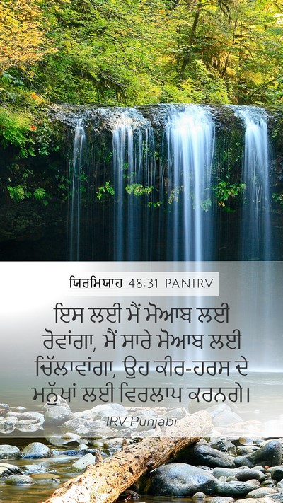 ਯਿਰਮਿਯਾਹ 48:31 PANIRV Bible Verse Image