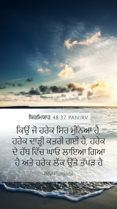 ਯਿਰਮਿਯਾਹ 48:37 PANIRV Bible Verse Image