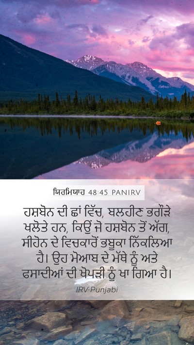 ਯਿਰਮਿਯਾਹ 48:45 PANIRV Bible Verse Image