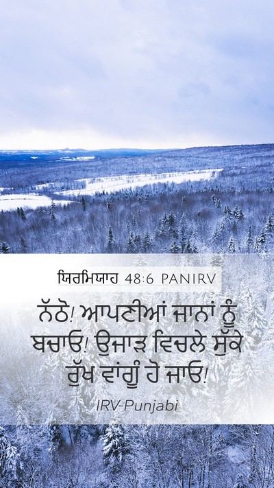 ਯਿਰਮਿਯਾਹ 48:6 PANIRV Mobile Phone Wallpaper - ਨੱਠੋ! ਆਪਣੀਆਂ ਜਾਨਾਂ - Mobile Bible Verse Wallpaper